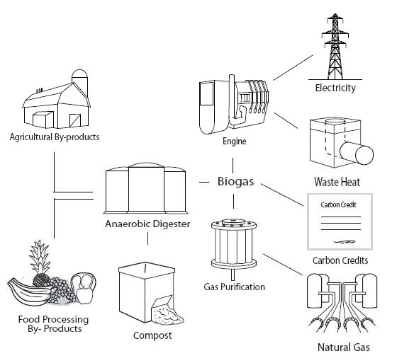 what is biogas?